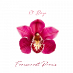 Frauenarztpraxis El-Bougi